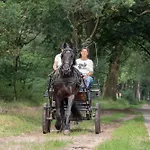Forest ベッド・アンド・ブレックファスト 3*