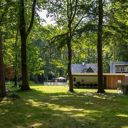 Bed & Breakfast Forest