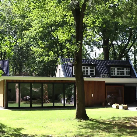 Bed & Breakfast Forest