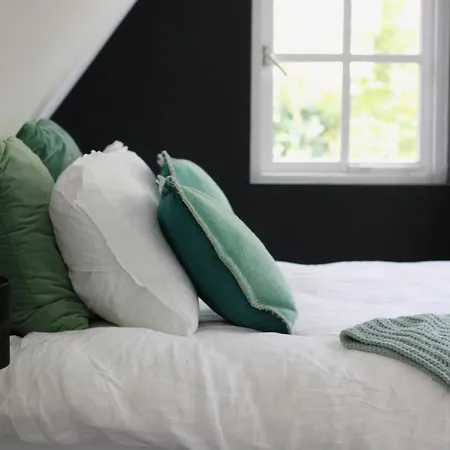 Bed & Breakfast Forest