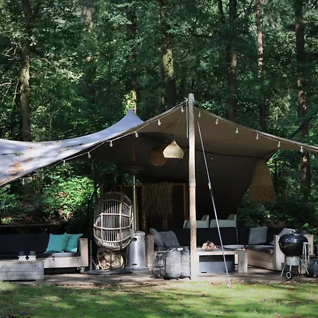 Forest Bed & Breakfast *