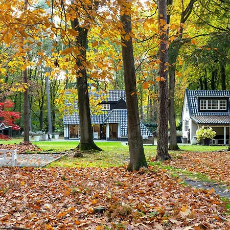 Bed & Breakfast Forest Ugchelen