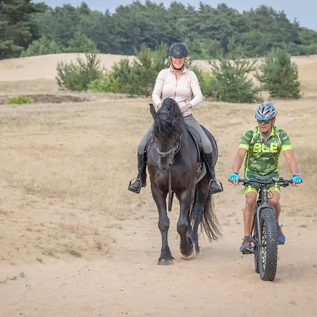 Forest Nocleg ze śniadaniem Ugchelen