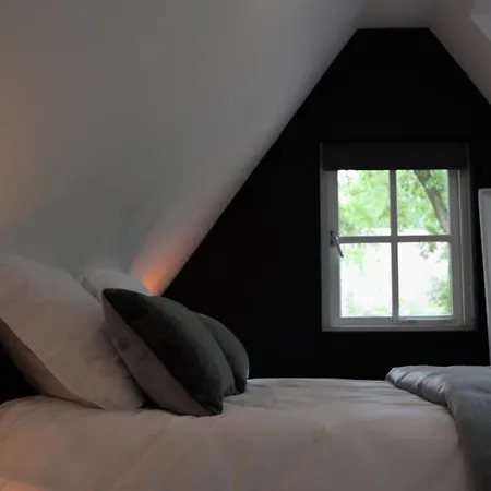 Forest Bed & Breakfast