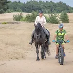 Forest לינה וארוחת בוקר Ugchelen