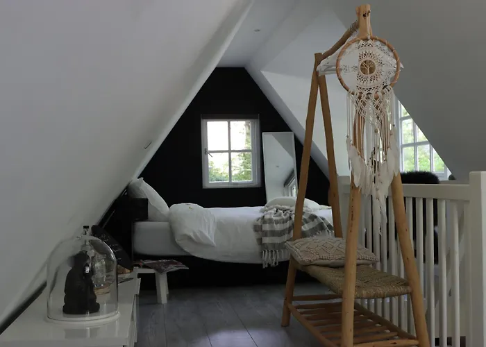 Forest Couette-café *