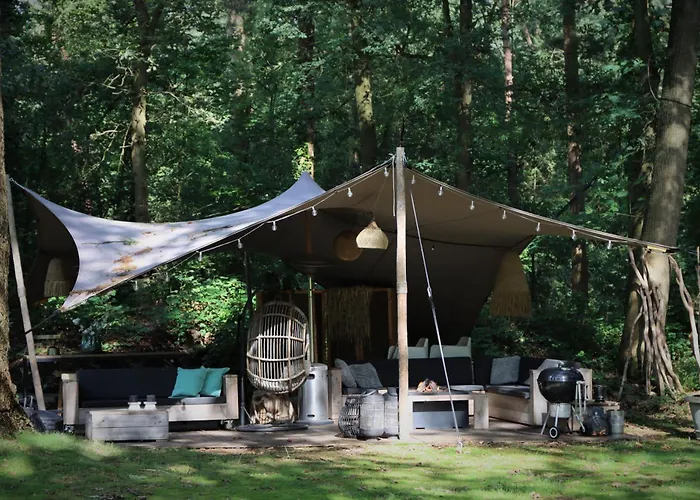 Forest Couette-café *