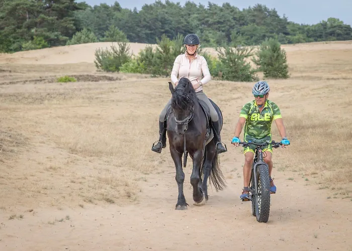 Forest Couette-café Ugchelen
