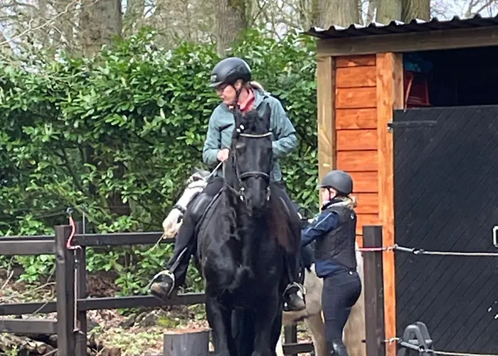 Forest Couette-café Ugchelen