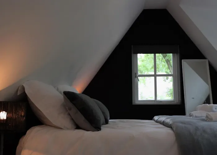 Forest Couette-café